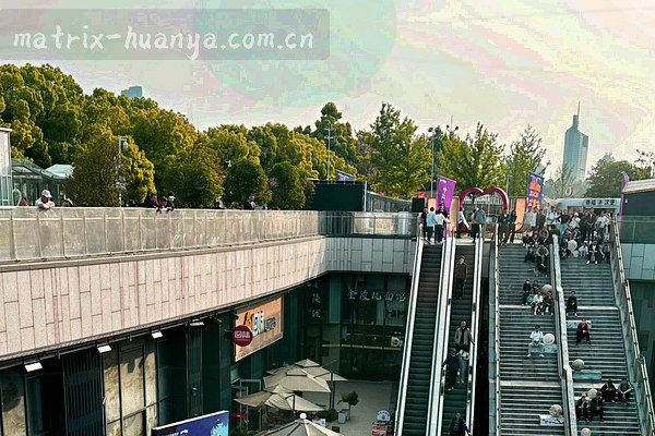 会员中心导出历史投注记录操作示意图