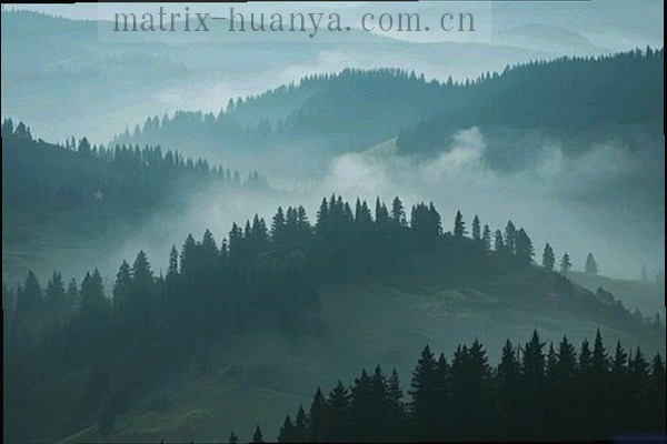手机下载客户端场景